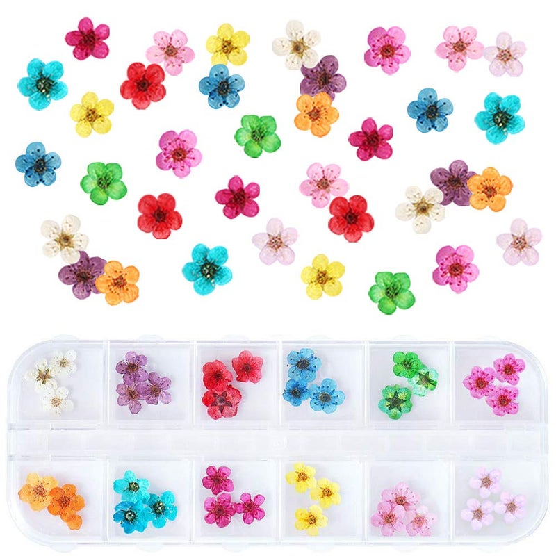 UNIME 12 Colors Dry Flowers Mini Real Natural Flowers Nail Art Supplies 3D Applique Nail Decoration Sticker for Tips Manicure Decor - Image 1