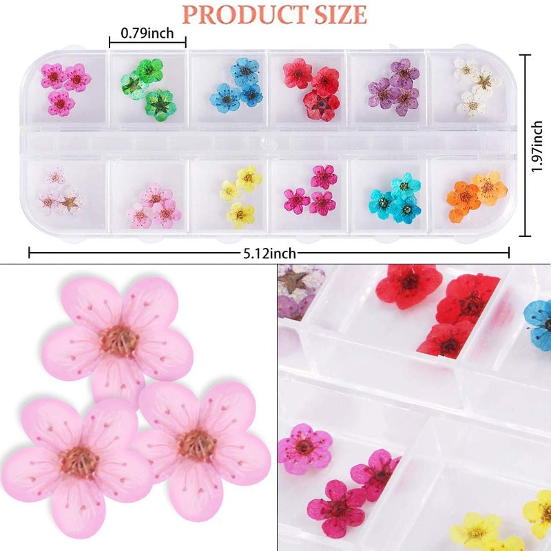 UNIME 12 Colors Dry Flowers Mini Real Natural Flowers Nail Art Supplies 3D Applique Nail Decoration Sticker for Tips Manicure Decor - Image 4