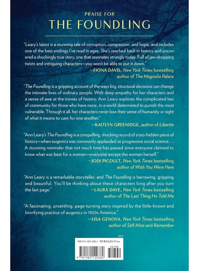 The Foundling  - Image 2
