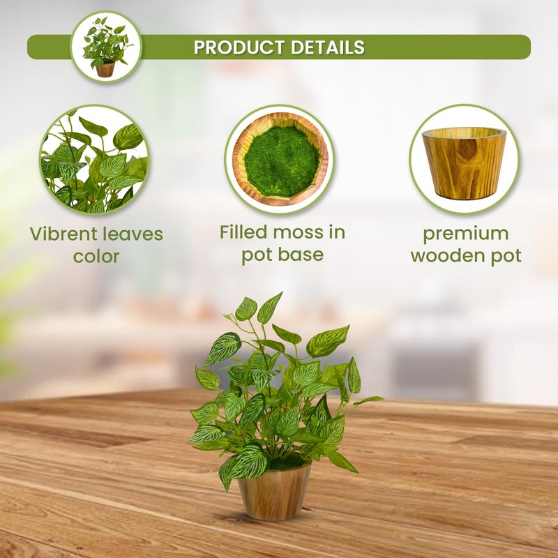 fancymart Artificial Plant Leaves in Wooden Pot Perfect Potted Decoration for Home Living Room & Office Spaces Décor - Image 3