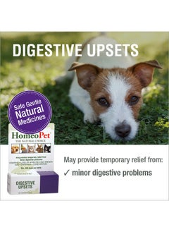 Digestive Upsets, Natural Pet Digestive Support, Digestive Supplement For Dogs, Cats, And Small Pets, 15 Milliliters - pzsku/Z54F7BE95DC1BE99817AFZ/45/_/1726221748/91617708-6536-4d87-bfc2-6ecebb7809ae