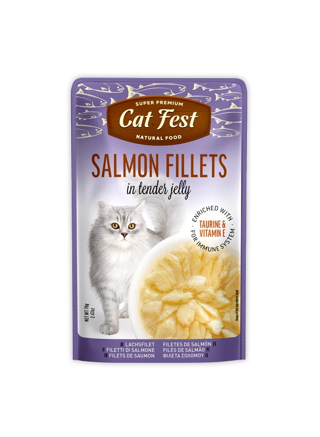 Cat Fest شرائح السلمون في هلام طري للقطط - 70 جرام - Image 1