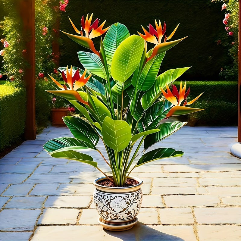 نخلة المسافر الواحدة ونبتة طائر الجنة الواحدة - نباتات استوائية اصطناعية - Image 5