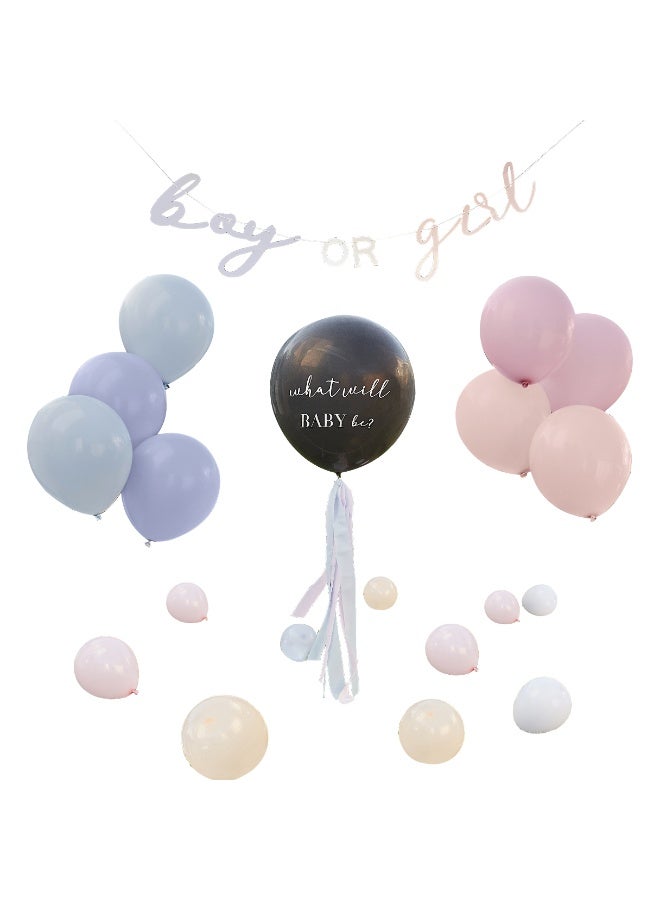 Ginger Ray What Will Baby Be Gender Reveal Balloon Kit - Image 1