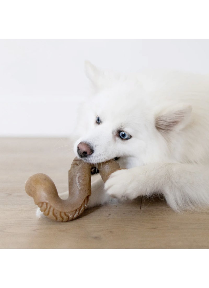 Benebone Beef Tripe Bone - Image 4