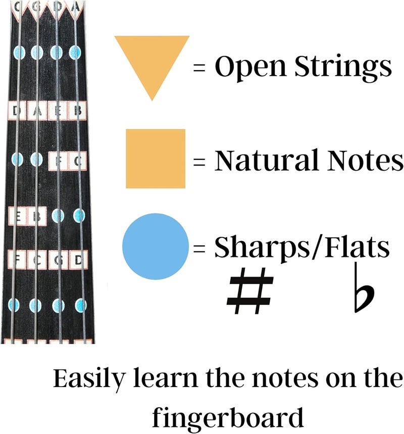 FFG NOTE THE DIFFERENCE Fantastic Finger Guide for Violas | Stringed Musical Instruments | Fingerboard and Fretboard Stickers for Learning All Notes | Kids/Adult Beginner Viola Finger Guide | 13" Size - Image 4