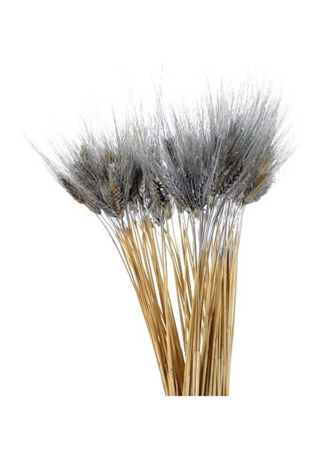 FANCY FLOWERS Natural Dried Multi-Coloured Wheat Grass Bouquet Bundle (25, Silver) - Image 1