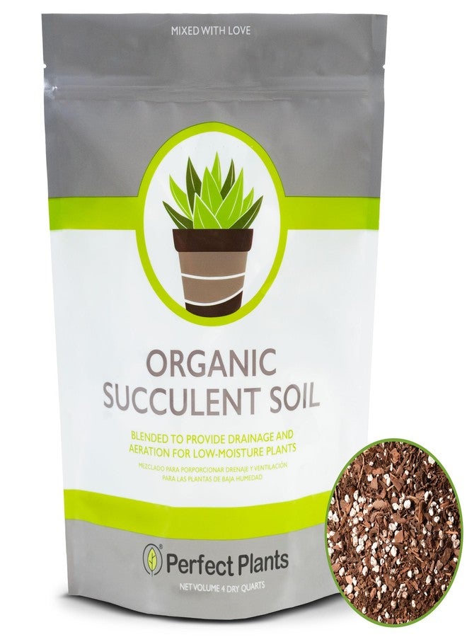 PERFECT PLANTS مزيج تربة طبيعي بالكامل للنباتات العصارية والصبار من بيرفكت بلانتس | صنع في الولايات المتحدة الأمريكية | 4 كوارت لجميع أنواع النباتات العصارية | تركيبة مصممة لتصريف المياه بشكل صحيح - Image 1