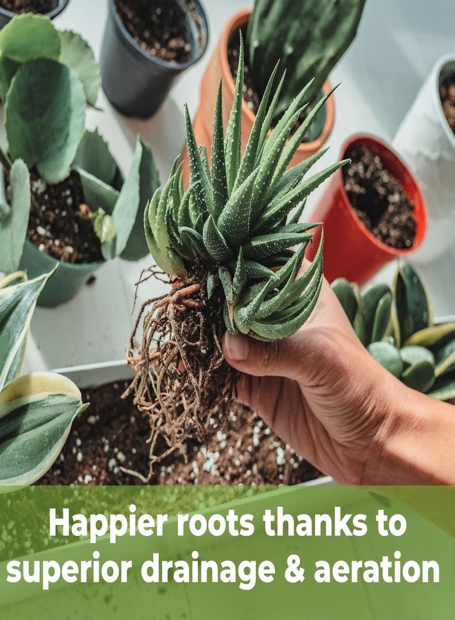 PERFECT PLANTS مزيج تربة طبيعي بالكامل للنباتات العصارية والصبار من بيرفكت بلانتس | صنع في الولايات المتحدة الأمريكية | 4 كوارت لجميع أنواع النباتات العصارية | تركيبة مصممة لتصريف المياه بشكل صحيح - Image 4
