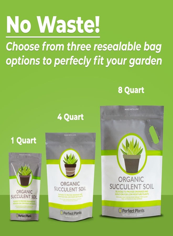 PERFECT PLANTS مزيج تربة طبيعي بالكامل للنباتات العصارية والصبار من بيرفكت بلانتس | صنع في الولايات المتحدة الأمريكية | 4 كوارت لجميع أنواع النباتات العصارية | تركيبة مصممة لتصريف المياه بشكل صحيح - Image 5