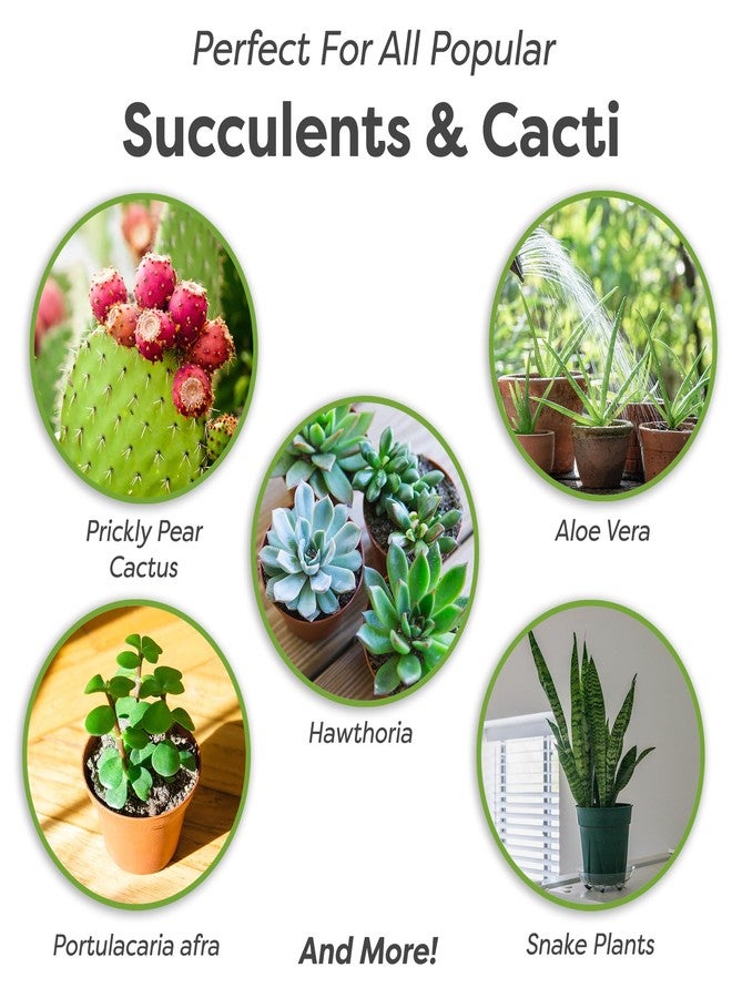 PERFECT PLANTS مزيج تربة طبيعي بالكامل للنباتات العصارية والصبار من بيرفكت بلانتس | صنع في الولايات المتحدة الأمريكية | 4 كوارت لجميع أنواع النباتات العصارية | تركيبة مصممة لتصريف المياه بشكل صحيح - Image 3