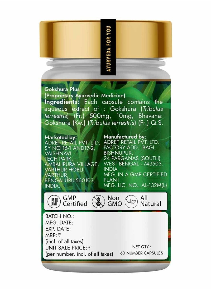 Kapiva - Gokshura 60 Capsules - Image 1