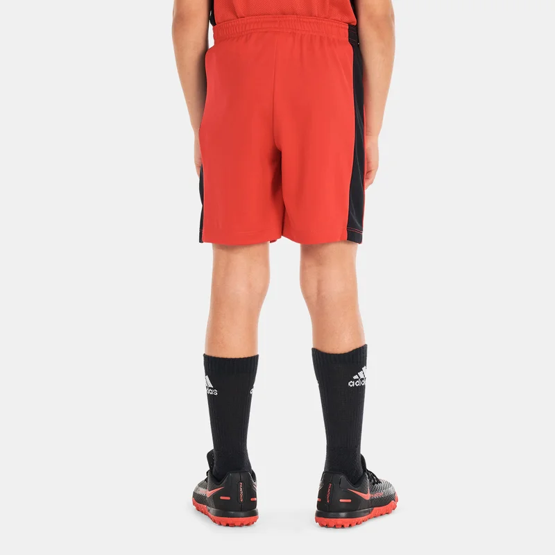 نايكي شورت كرة القدم دراي-فت اكاديمي23 للاطفال الكبار