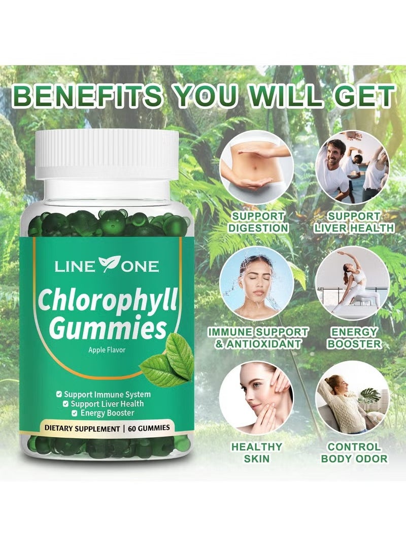 LINE ONE Chlorophyll Gummy With Ashwagandha,Potassium Support Immune System Support Liver Health Energy Booster Dietary Supplement Apple Flavor 60 Gummies  - Image 2