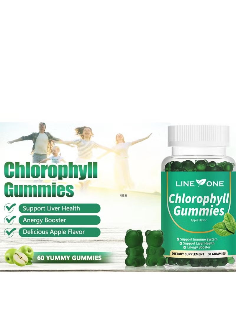 LINE ONE Chlorophyll Gummy With Ashwagandha,Potassium Support Immune System Support Liver Health Energy Booster Dietary Supplement Apple Flavor 60 Gummies  - Image 3