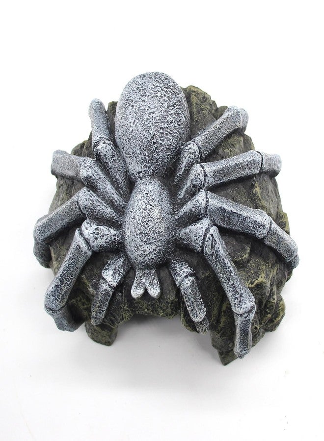 relaqcc Reptile Rock Cave Hideouts Terrarium Habitat Decor Gecko Tank Accessories for Fish, Reptiles, Amphibians,Frogs, Snakes,Lizards,Shrimps, Spiders and Small Animals Crab - Image 3
