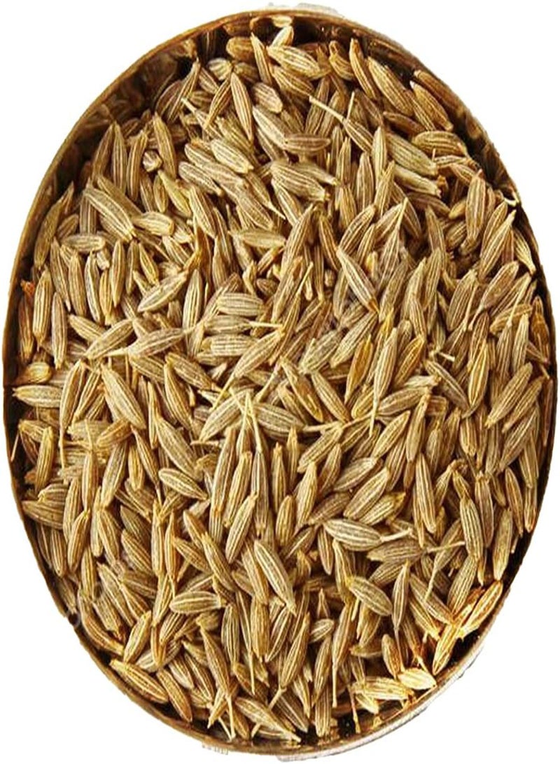 50Pcs Sweet Fennel Florence Seeds Green Vegetable Seeds for Planting Outdoor Garden Farm/for Cooking Dish Soup Seed