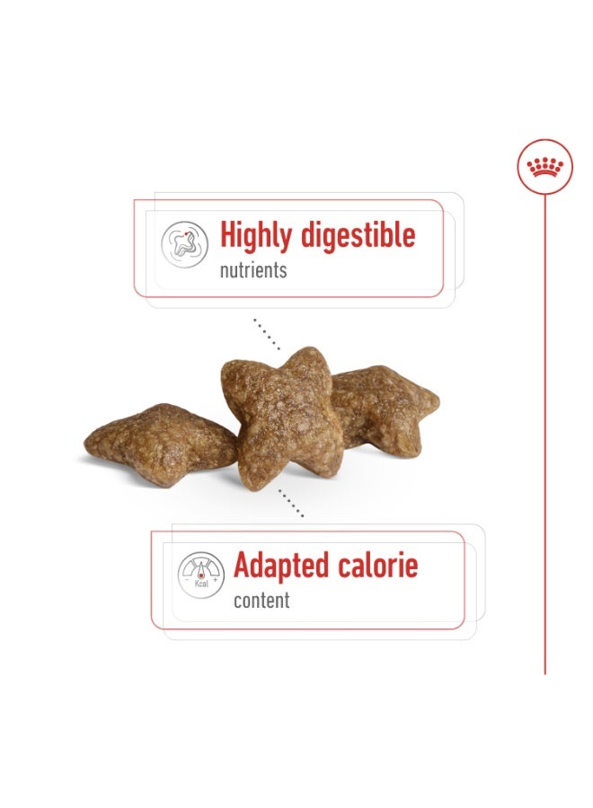 Royal Canin Size Health Mini Adult Dog Dry Food - 2KG - Image 3