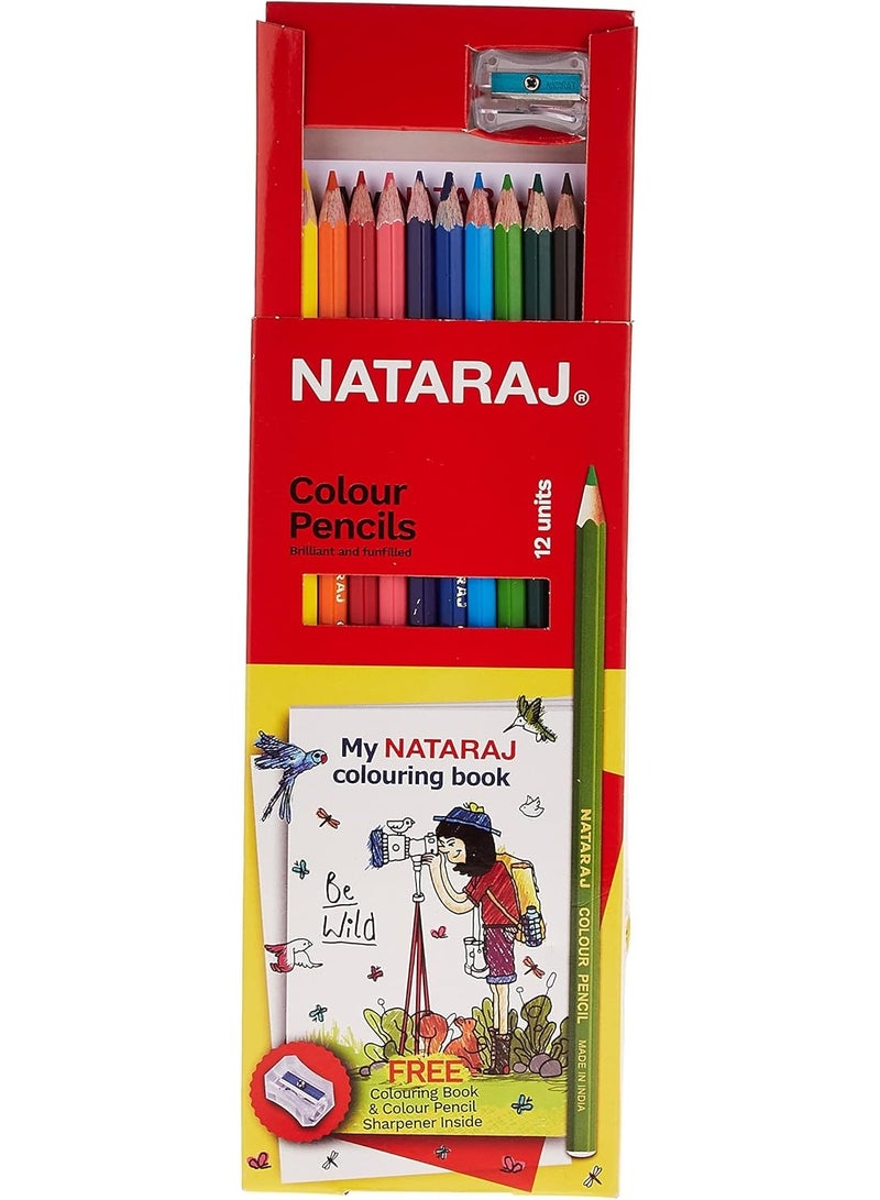 Nataraj Colour Pencils 12-Pieces, Multicolor - Image 5