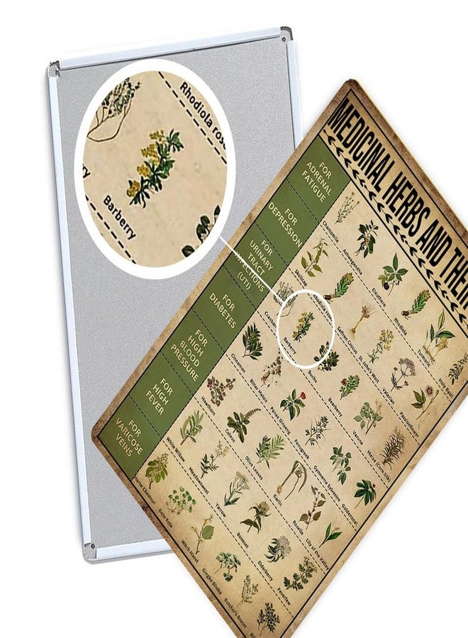 Ykfss Vintage Herb Knowledge Metal Tin Sign Homesteading Knowledge Poster Plant Signs Planting Guide Chart Herb Decor Medicinal Herbs And Their Uses Posters 8x12 Inch - Image 2