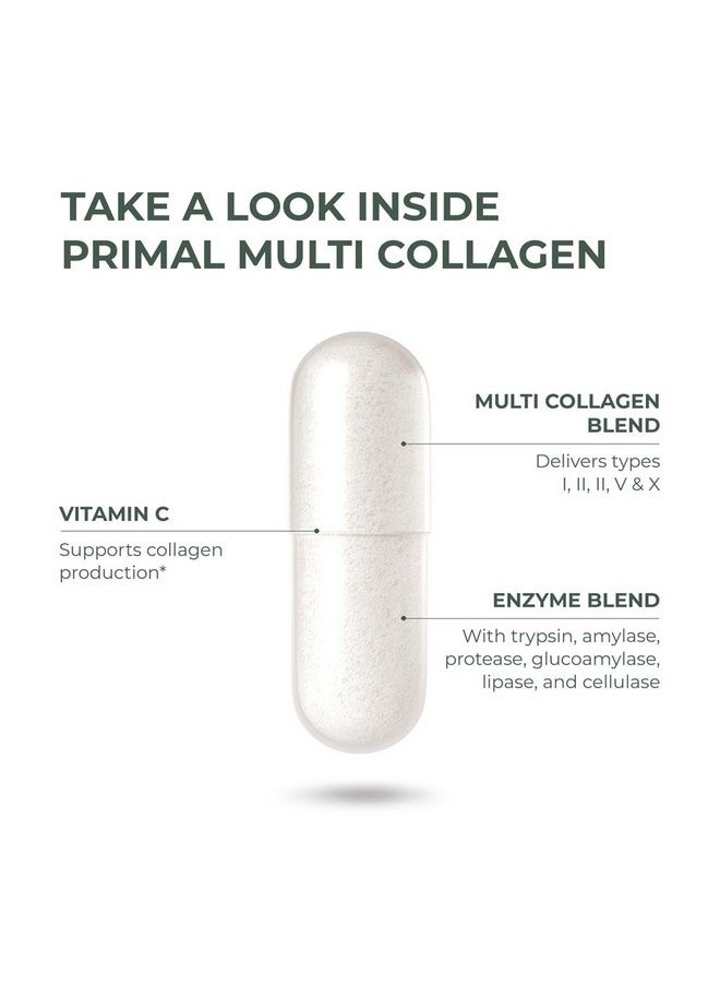 برايمال هارڤيست عبوة من 2 من Primal Harvest، حبوب الكولاجين المتعددة للنساء والرجال (النوع الأول، الثاني، الثالث، الخامس، العاشر) مكملات الكولاجين للنساء والرجال، 120 كبسولة مع فيتامين سي للشعر والبشرة والأظافر، حبوب ببتيدات الكولاجين - Image 3