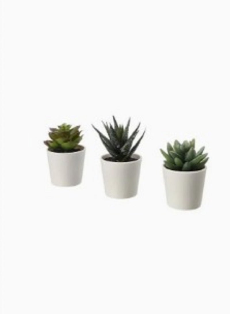 Artificial plant with indoor pot 6 cm succulent tree consisting of 3 pieces - Image 1