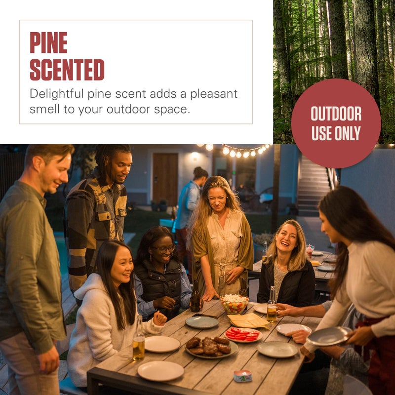 Coleman شمعة كولمان برائحة الصنوبر مع فتيل خشبي برائحة السترونيلا - علبة سعة 6 أونصة - Image 4