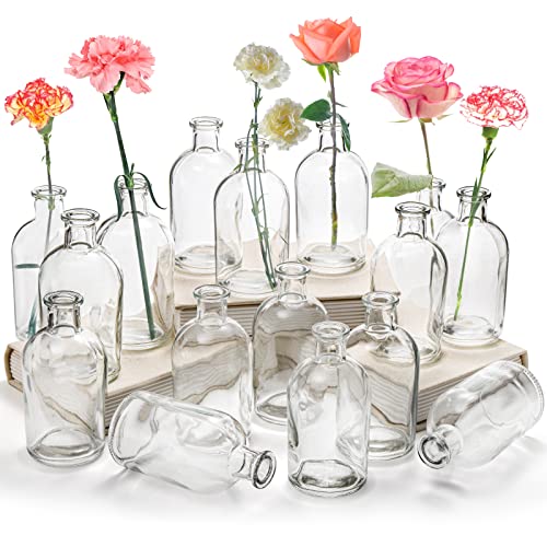 YOUEON 16 Pack Clear Glass Bud Vases, Small Bud Vases in Bulk, Glass Flower Vases for Centerpieces, Vintage Decorative Bottle Vases for Flowers, Home Decor, Wedding Reception, Office - Image 1
