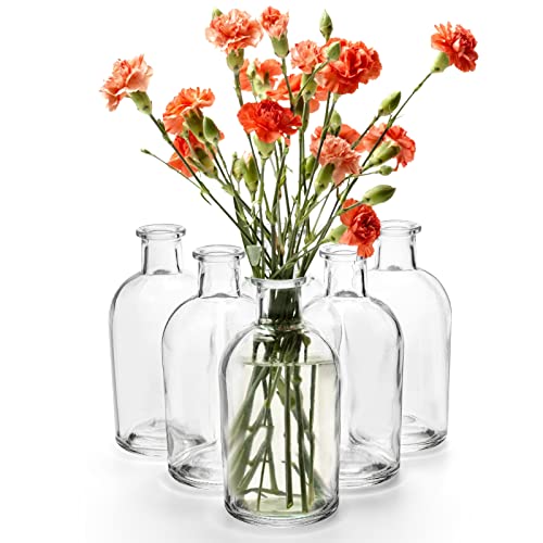 YOUEON 16 Pack Clear Glass Bud Vases, Small Bud Vases in Bulk, Glass Flower Vases for Centerpieces, Vintage Decorative Bottle Vases for Flowers, Home Decor, Wedding Reception, Office - Image 4