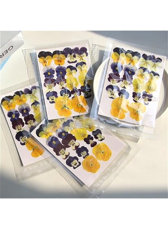 بيوينتي زهور طبيعية مجففة ومضغوطة للراتنج والحرف الفنية التي تصنعها بنفسك ومجوهرات الايبوكسي وتزيين الكيك وحافظات الجوال والشموع والصابون والبانسي من اكسيفور، عبوة من 54 قطعة، لون أرجواني - Image 2