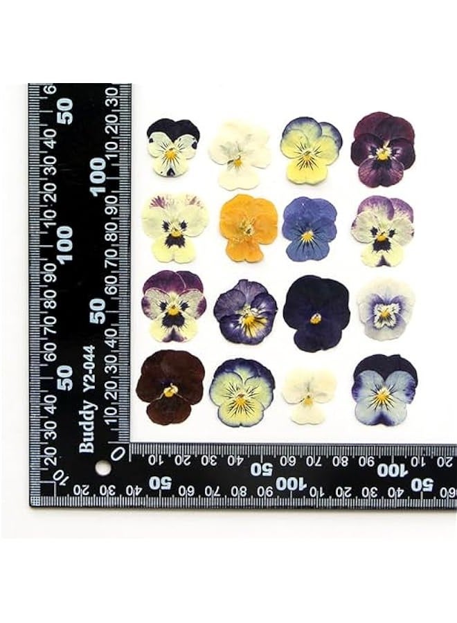 بيوينتي زهور طبيعية مجففة ومضغوطة للراتنج والحرف الفنية التي تصنعها بنفسك ومجوهرات الايبوكسي وتزيين الكيك وحافظات الجوال والشموع والصابون والبانسي من اكسيفور، عبوة من 54 قطعة، لون أرجواني - Image 5