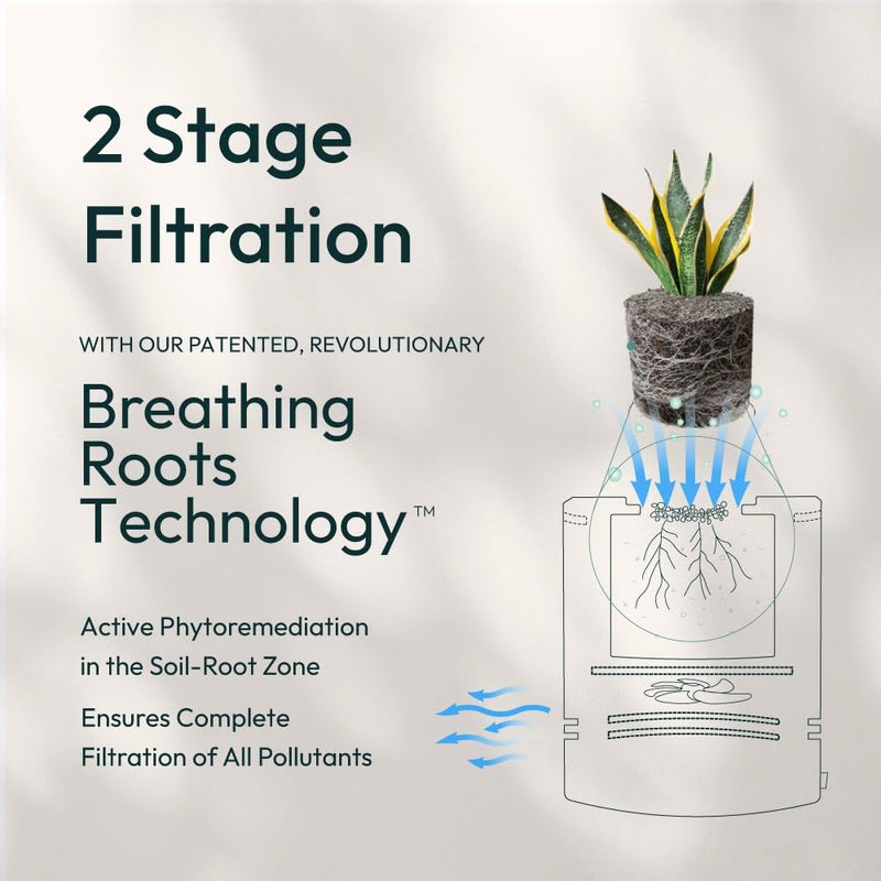 Ugaoo Classic Air Purifier for Home Office 9 Watts 2Stage Filtration Permanent CocoFilter Covers 80 SqFt Removes Biopollutants 9999 of Dust Pollutants Lightweight Portable - Image 3