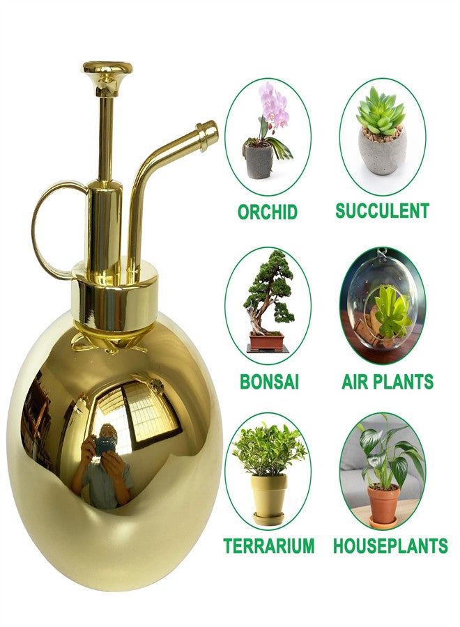 KASTWAVE Plant Spray Bottle, Stainless Steel Plant Sprayer, Retro Gold Watering Misting Small Spray Bottle, Modern Gardening Tools for Indoor Potted Plants Watering and Spraying - Image 2