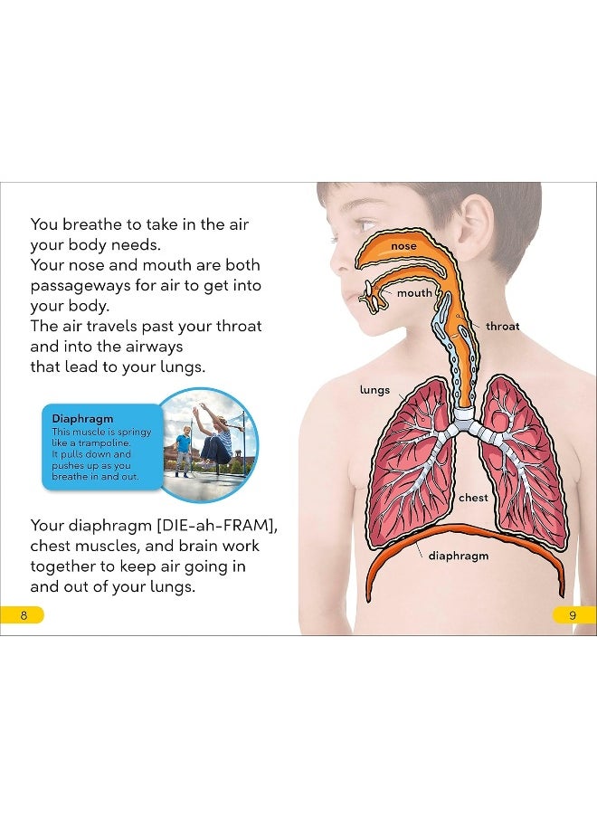 null - DK Super Readers Level 2 Sniffles, Sneezes, Hiccups, and Coughs - Image 1