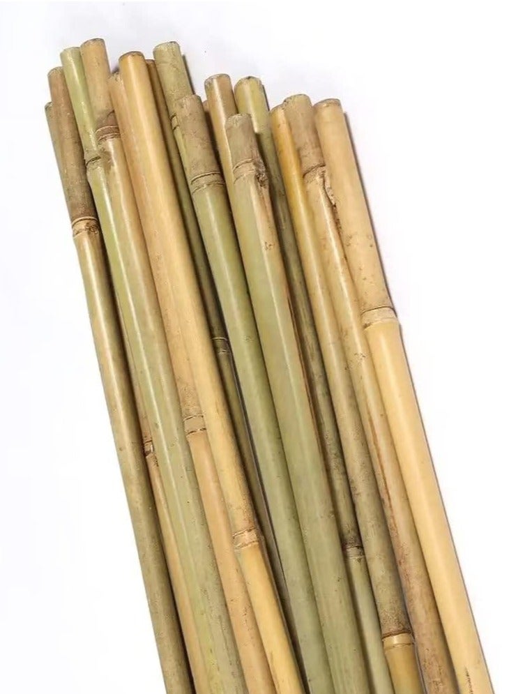 HOME TASTE دعامات نبات البامبو – 100 سم، 10 قطع من عيدان البامبو الطبيعية المتينة للطماطم، الفاصوليا، الخضروات، الزهور والنباتات المزروعة في الأصص – أعمدة حديقة قوية للنباتات الداخلية والخارجية - Image 1