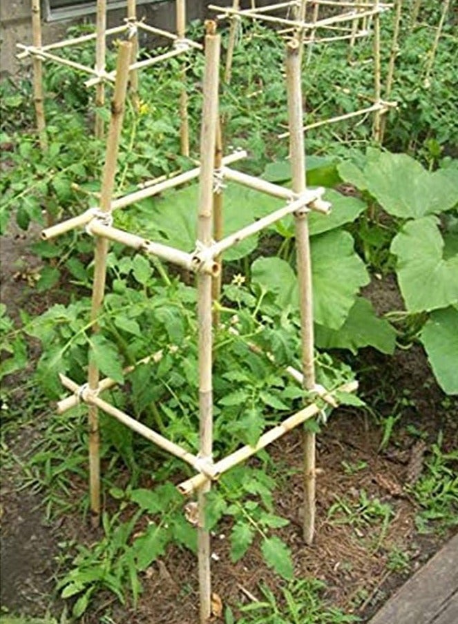 HOME TASTE دعامات نبات البامبو – 100 سم، 10 قطع من عيدان البامبو الطبيعية المتينة للطماطم، الفاصوليا، الخضروات، الزهور والنباتات المزروعة في الأصص – أعمدة حديقة قوية للنباتات الداخلية والخارجية - Image 3