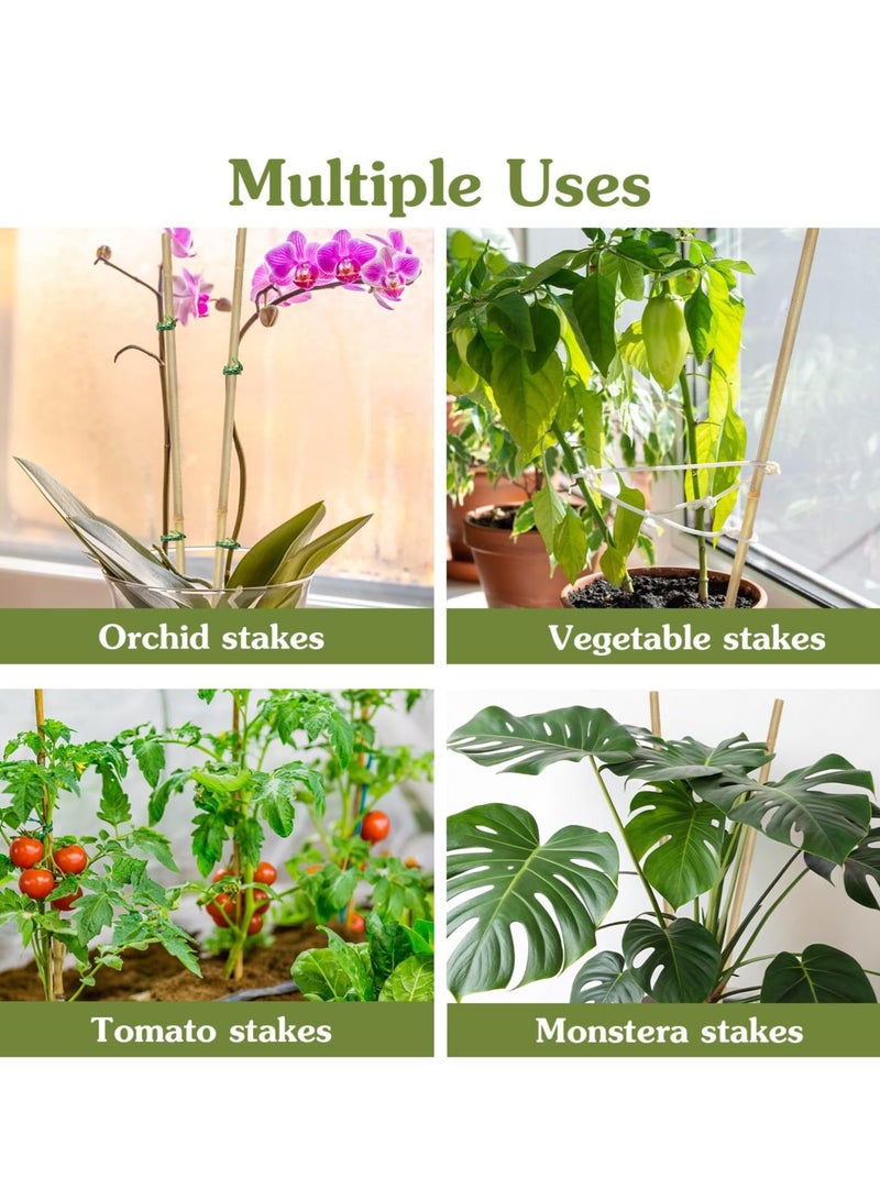 HOME TASTE دعامات نبات البامبو – 100 سم، 10 قطع من عيدان البامبو الطبيعية المتينة للطماطم، الفاصوليا، الخضروات، الزهور والنباتات المزروعة في الأصص – أعمدة حديقة قوية للنباتات الداخلية والخارجية - Image 4