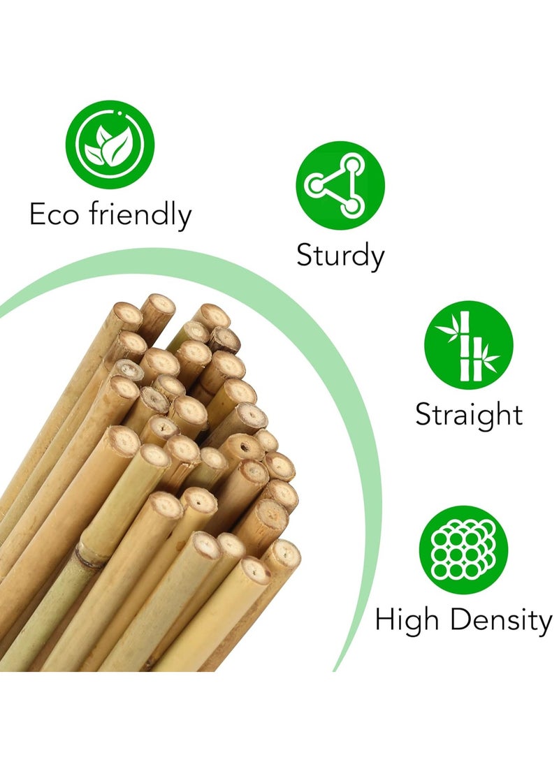 HOME TASTE دعامات نبات البامبو – 100 سم، 10 قطع من عيدان البامبو الطبيعية المتينة للطماطم، الفاصوليا، الخضروات، الزهور والنباتات المزروعة في الأصص – أعمدة حديقة قوية للنباتات الداخلية والخارجية - Image 5