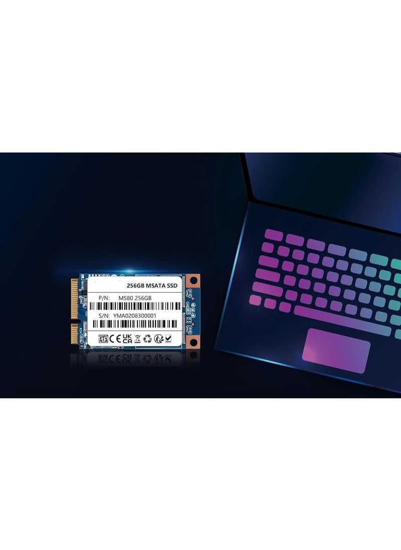 Generic Internal SSD Drive 256GB – SATA III Solid State Drive for Laptops & Desktops, High-Speed Performance  - Image 2