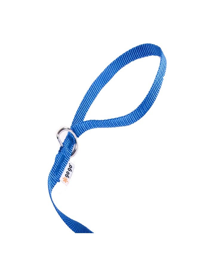 GOGO Pet Products 3/8-Inch Wide Comfy Nylon Dog Leash, 6-Feet Long, Blue - Image 3