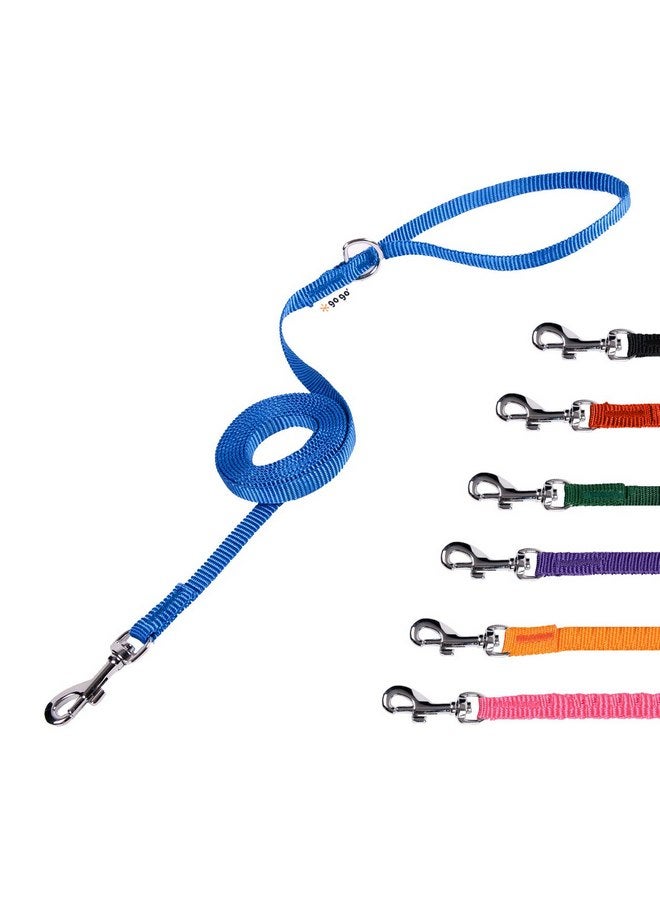 GOGO Pet Products 3/8-Inch Wide Comfy Nylon Dog Leash, 6-Feet Long, Blue - Image 1