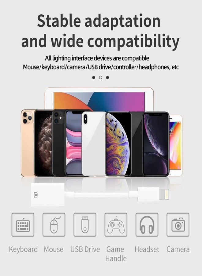 HOYULLI Lightning Male to USB Female Dongle for iPhone OTG Adapter Cable Camera Card Reader U Disk Flash Drive Mouse Keyboard MIDI Hub for Apple for iPad Air 14 13 12 11 Pro Max XR X XS 8 7 Plus SE Converter - Image 2
