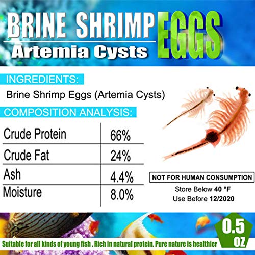 BNYEE Brine Shrimp Eggs for Aquatic Foods Baby & Fry Foods The Popular 90% Hatch GSL Brine Shrimp Eggs (0.5 OZ) - Image 3