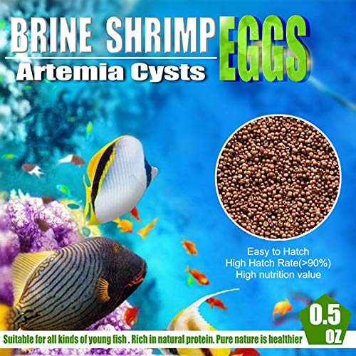 BNYEE Brine Shrimp Eggs for Aquatic Foods Baby & Fry Foods The Popular 90% Hatch GSL Brine Shrimp Eggs (0.5 OZ) - Image 2