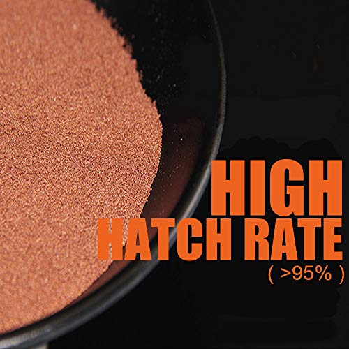 BNYEE Brine Shrimp Eggs for Aquatic Foods Baby & Fry Foods The Popular 90% Hatch GSL Brine Shrimp Eggs (0.5 OZ) - Image 4