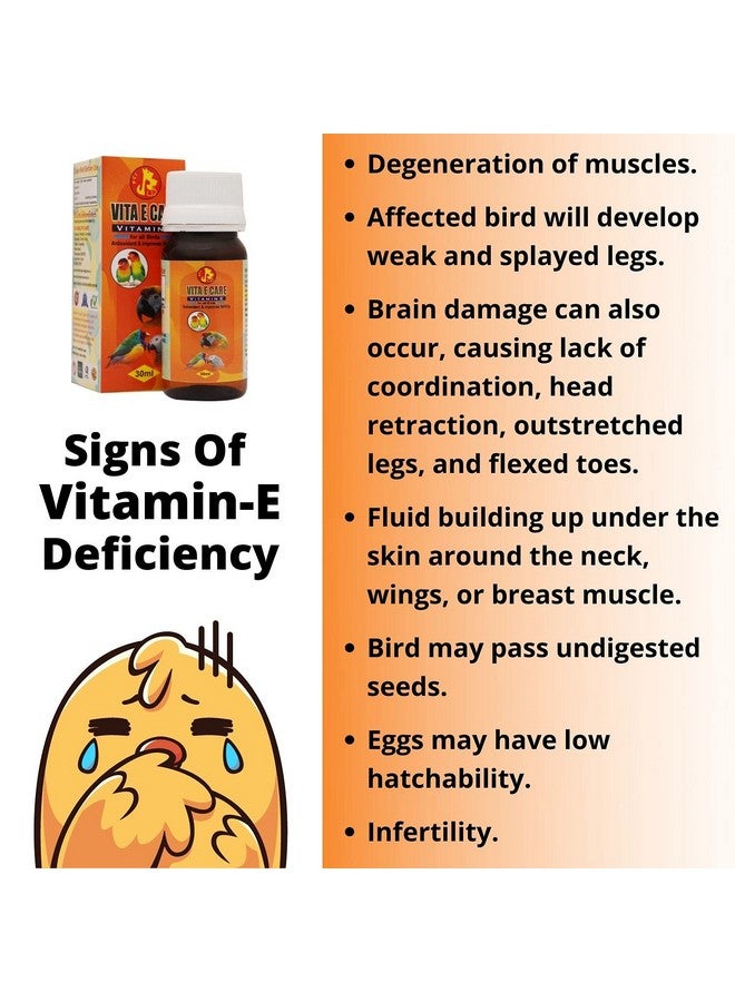 بت (Pci) Vita E Care || تغذية الفيتامينات الأساسية || رعاية صحية للطيور || (30 مل × 2) - Image 3