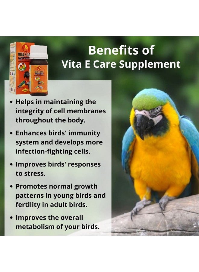 بت (Pci) Vita E Care || تغذية الفيتامينات الأساسية || رعاية صحية للطيور || (30 مل × 2) - Image 4