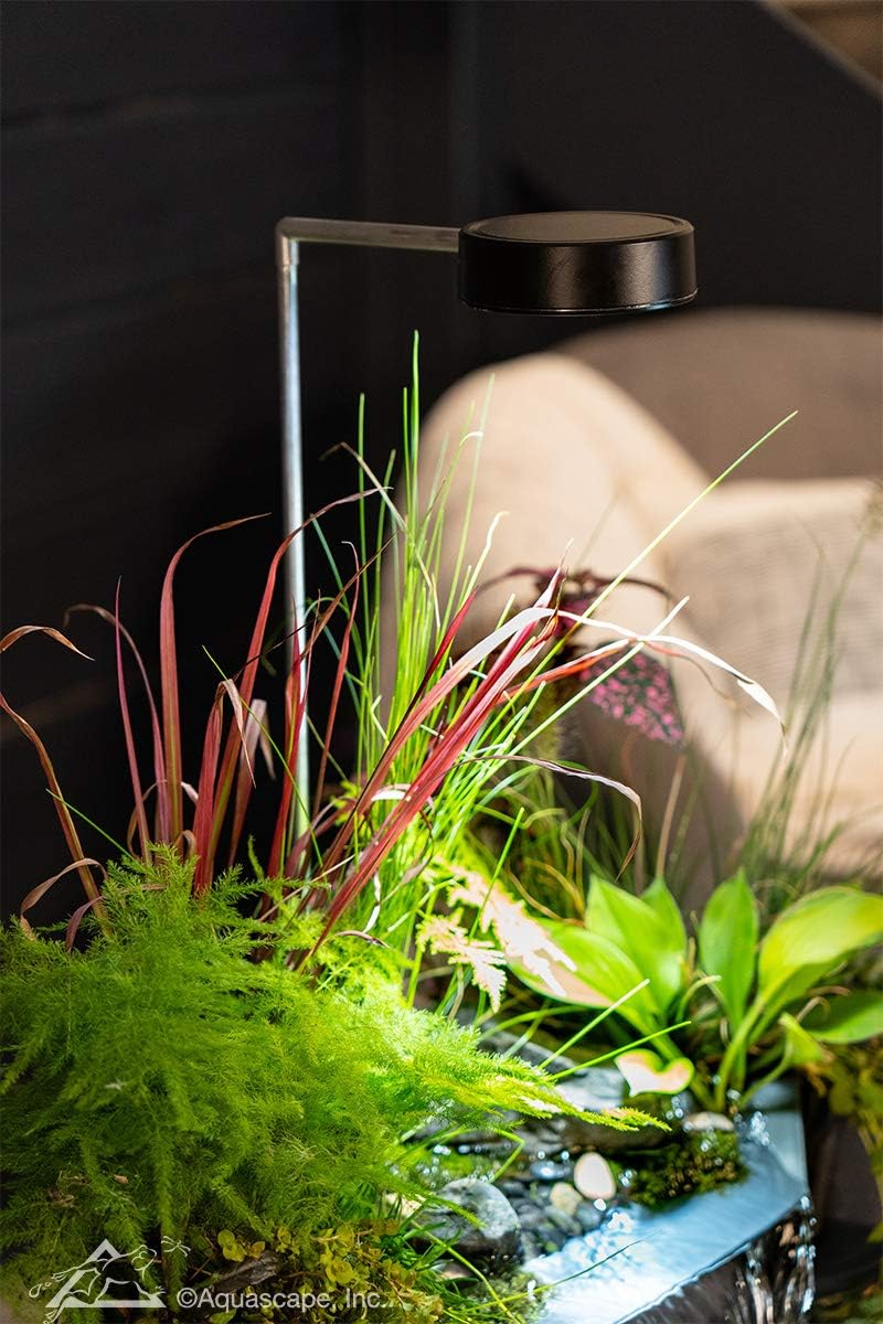 Aquascape طقم بركة ميني أكوا جاردن مع ضوء نباتات 78332 - Image 5