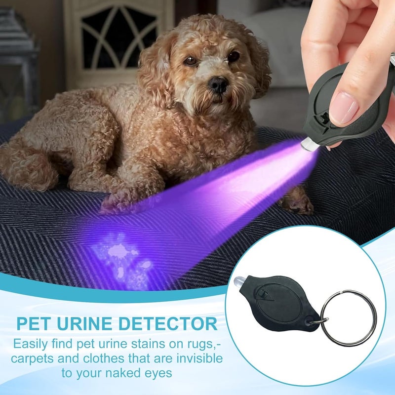 WSHuayee UV LED Keychain Flashlight - 395nm Blacklight Money Detector (5 Pcs) - Image 4