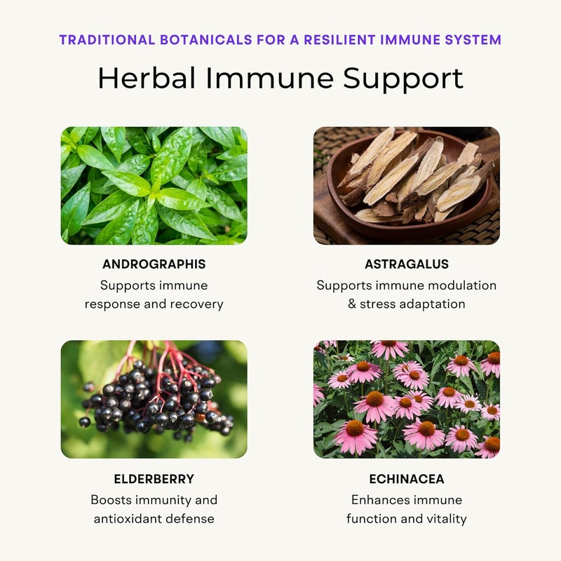 VitaminIQ Immune Support Supplement with Vitamin C and Zinc Sambucus Elderberry Vitamin D3 Glutathione Echinacea Capsules  Natural Immune Booster Herbal Supplements  Vegan GlutenFree 60ct - Image 5